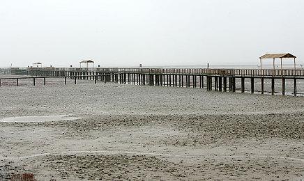 《异形工厂2》发布首支预告片 2024年推出抢先体验